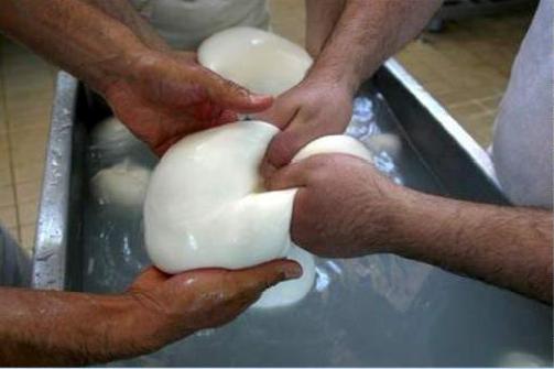 Make Mozzarella in Alberobello